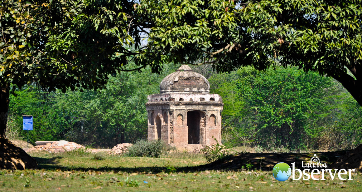 Vilayati Bagh