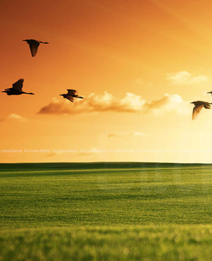 69 years of Independence