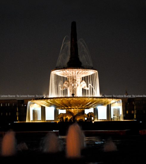 Ambedkar Park - Fountain