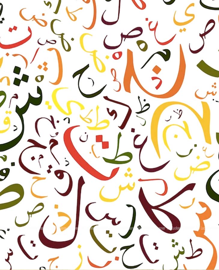 Language Knows no Borders